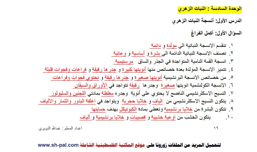 إجابة ورق عمل درس أنسجة النبات الزهري تاسع ف2 2.jpg