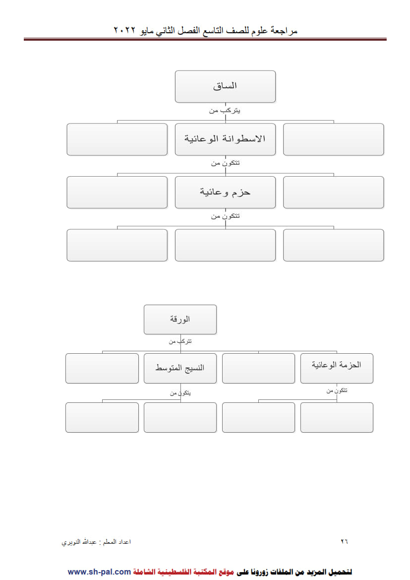 ورق عمل درس الهرمونات النباتية تاسع ف2 3.jpg