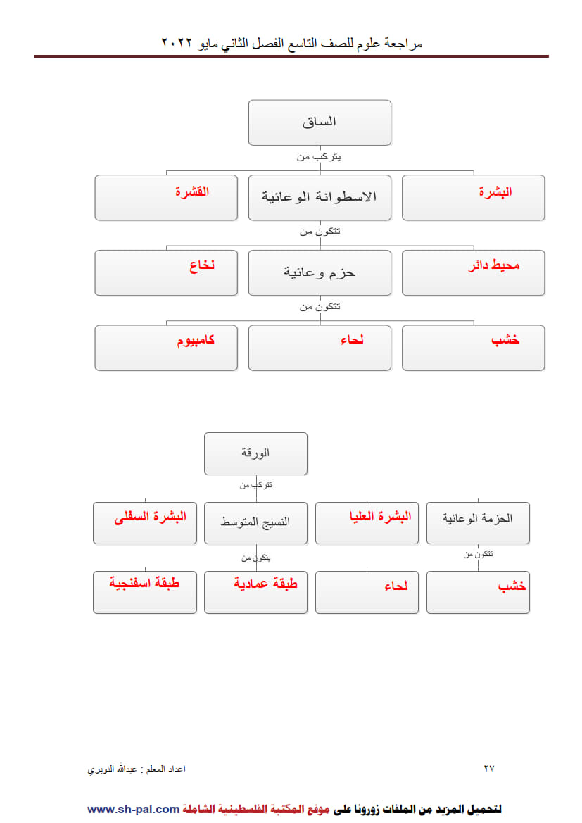 إجابة ورق عمل درس الهرمونات النباتية تاسع ف2 3.jpg