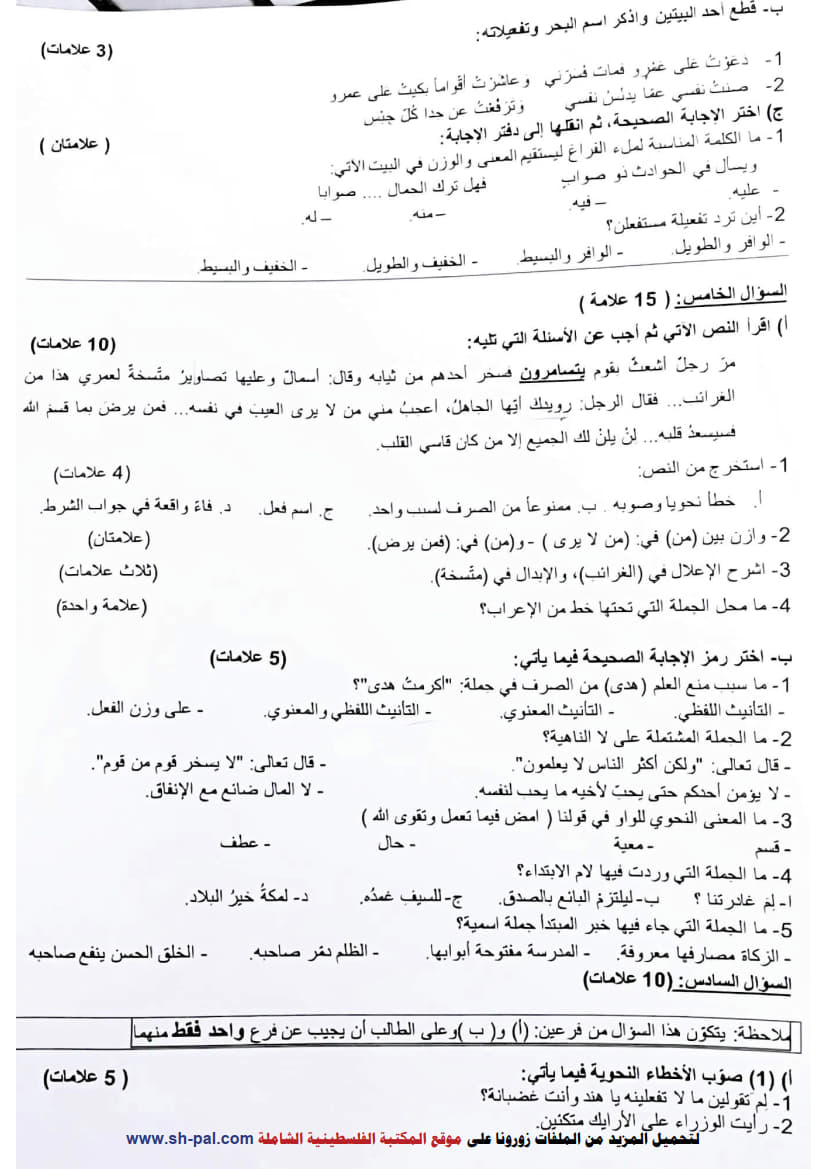 امتحان تجريبي اللغة العربية الورقة الأولى توجيهي 2025 (جنوب نابلس) 3.jpg